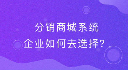 分销商城系统,企业如何去选择?