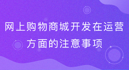 网上购物商城开发在运营方面的注意事项